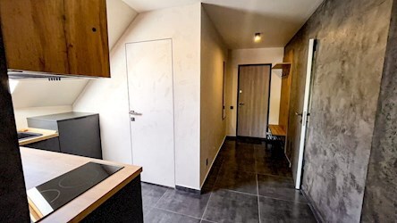 Apartament de lux cu un dormitor și living